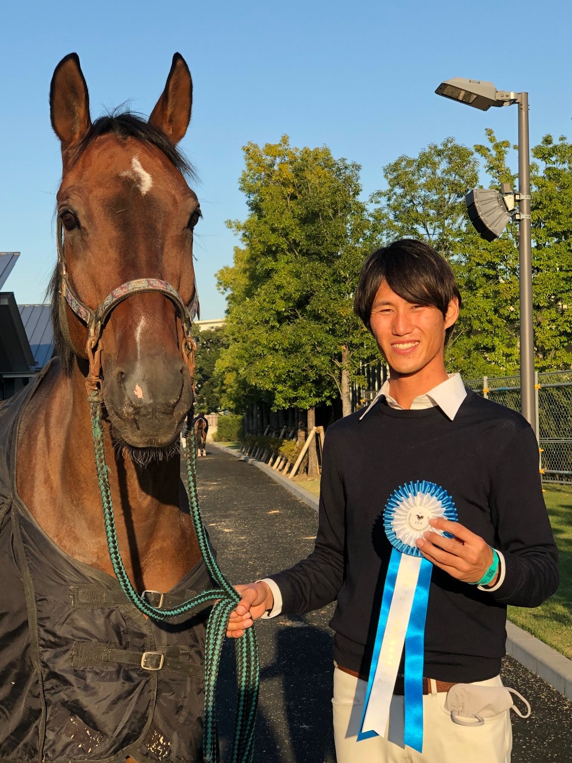 障害馬術 アンソニー•パルマン著　乗馬　馬 障害馬術 アンソニー•パルマン著 乗馬 馬